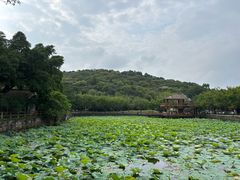 -李小龙乐园(顺德均安店)
