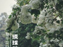 -钱王祠