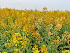 -中国天府农业博览园