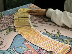 -雪灵魔法世界SHELLY’S TAROT(大良桂畔里店)
