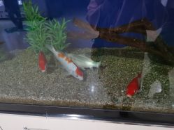 -西安市儿童医院门诊