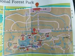 -上海海湾国家森林公园