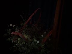 -观臣足道·养生SPA(冉家坝店)