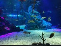 -沈阳海洋探索中心