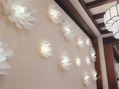 -环球影城莲花园 The Lotus Garden Universal Studios 