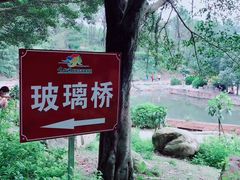 -牛鱼嘴原始生态风景区