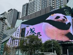 -合景·悠方(成都店)
