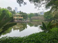 -晓港公园