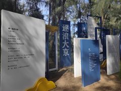 -大京沙滩