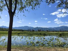 -野鸭湖国家湿地公园