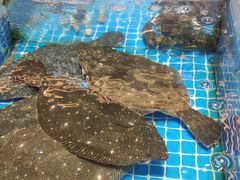 -双合园·海鲜水饺青岛菜(万佳广场店)