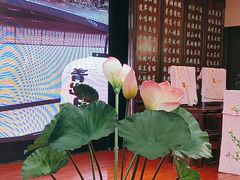 -宋园·金宴浙鲜馆(静安店)