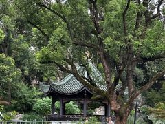 -申粤轩酒楼·三十年粤菜经典(丁香花园店)