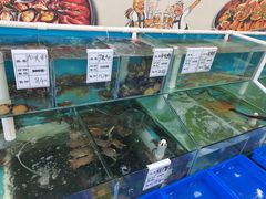 水产区-海之味海鲜大咖·家常菜