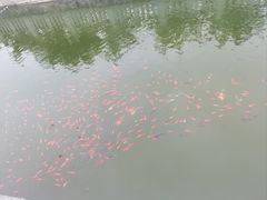 -莆田南少林寺