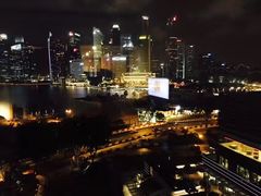 -新加坡文华东方酒店