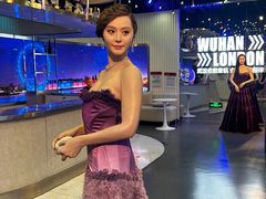 -武汉杜莎夫人蜡像馆