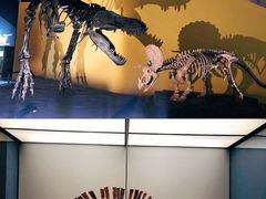 -湖南省地质博物馆