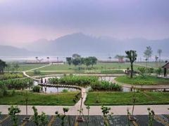 -眉山湿地公园(东坡区)