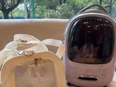 -瑞派申生动物医院·24H夜诊·国际动物医疗中心·骨外科(吴中路店)