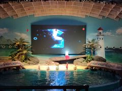 -海合安武汉极地海洋公园