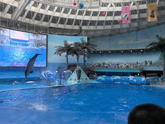 -海合安成都极地海洋公园