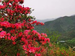 -木兰云雾山