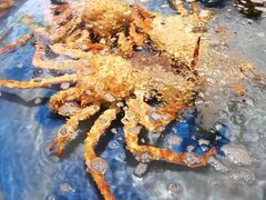 -必点海鲜·海肠捞饭·鲅鱼水饺(滨江道店)
