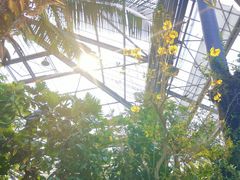 -华南国家植物园-售票处