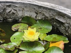 -口岸雕花楼