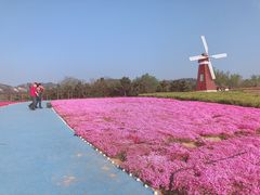 -西海岸生态观光园