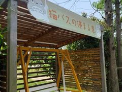 -前小桔亲子创意农场·草莓采摘·露营烧烤