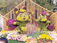 -上海共青森林公园