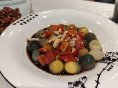 -丁老爷子苏香圆