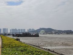 -海鸥岛