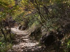 -狼牙山风景区