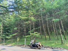 -草原天路(张北县)