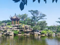 -顺峰山公园