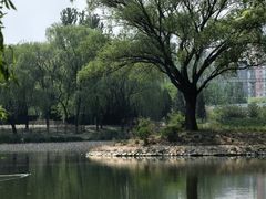 -将府公园