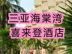 -三亚海棠湾喜来登度假酒店大堂吧