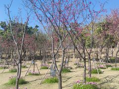 -牛岗山公园