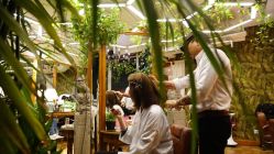 -Every Day Hair Studio