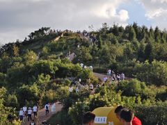 -长虫山生态公园风景林