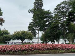 -海珠湖公园