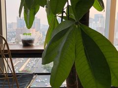 -帝京日语(春熙路旗舰校区)