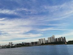 -五缘湾湿地公园