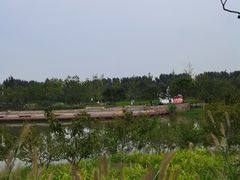 -东郊湿地公园