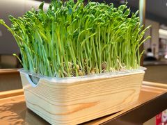 -海底捞火锅(名城广场夜宵生日主题店)