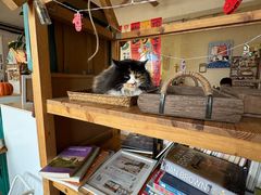 -小时光咖啡馆(开森度假森林店)