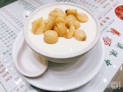 -义顺牛奶公司(新马路老店)
